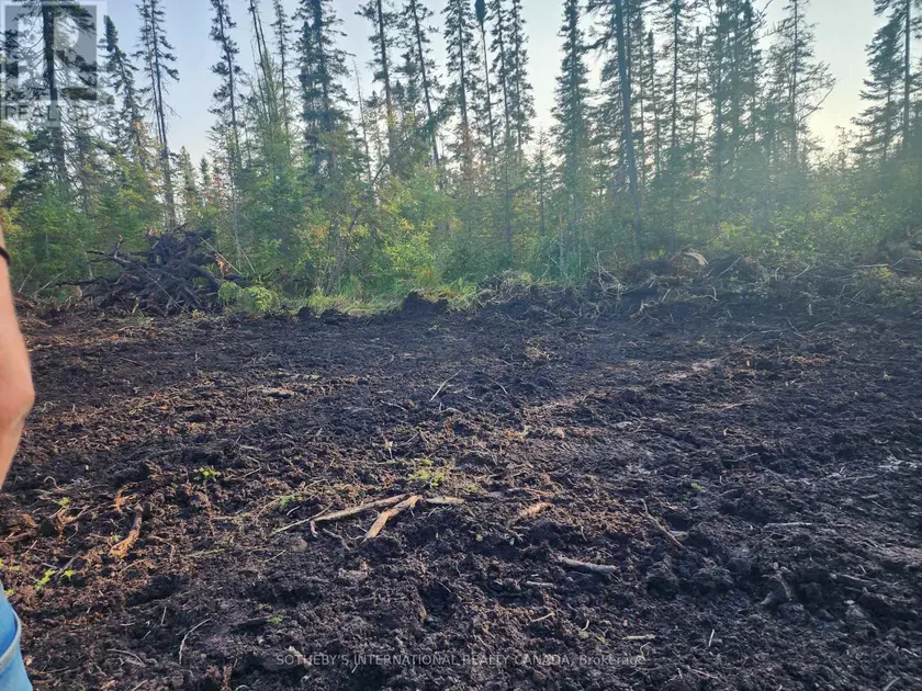 Vacant Land at 1022 THOMPSON ROAD, Bracebridge
