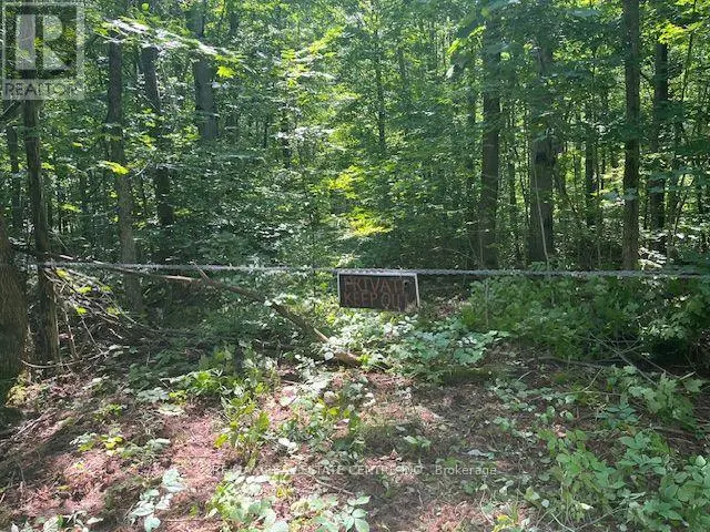 Vacant Land at PT LT44 CHATSWORTH  24 ROAD, Chatsworth