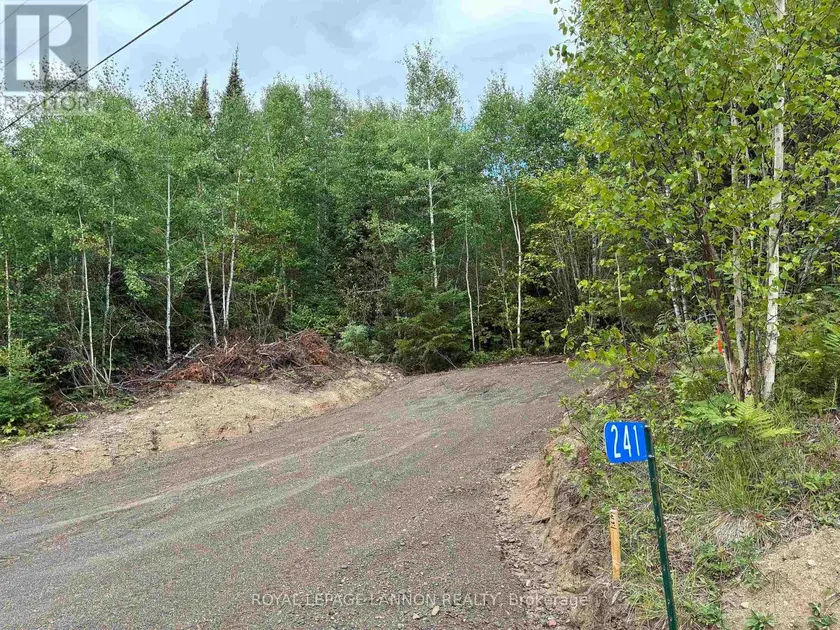Vacant Land at 241 CLOUD LAKE ROAD, Neebing