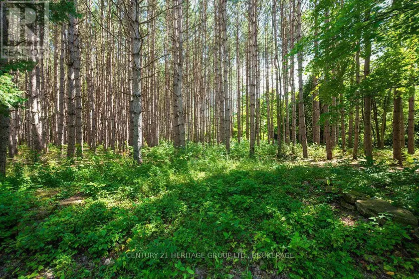 Vacant Land at 817 POWERS ROAD, Tay Valley