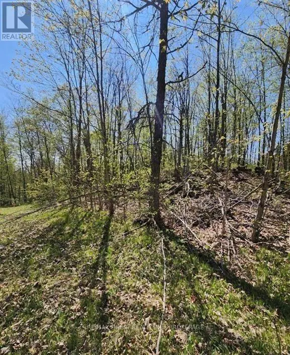 Vacant Land at 0 BURKE SETTLEMENT ROAD, Frontenac