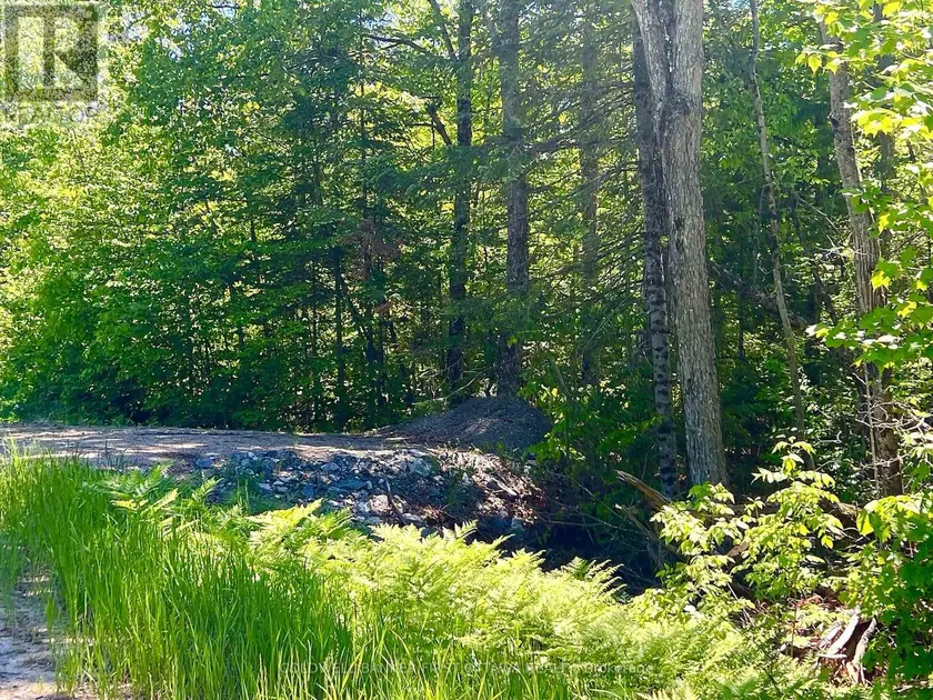 Vacant Land at 00 BUCKSHOT LAKE ROAD, Addington Highlands