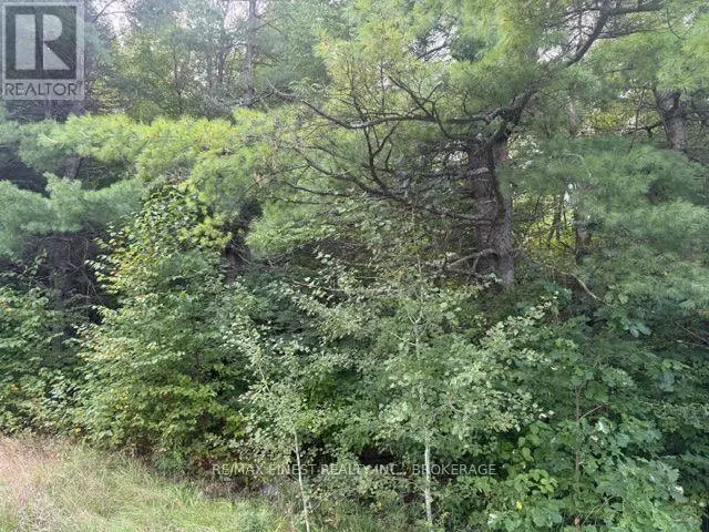 Vacant Land at 4900 COUNTY RD 4, Stone Mills