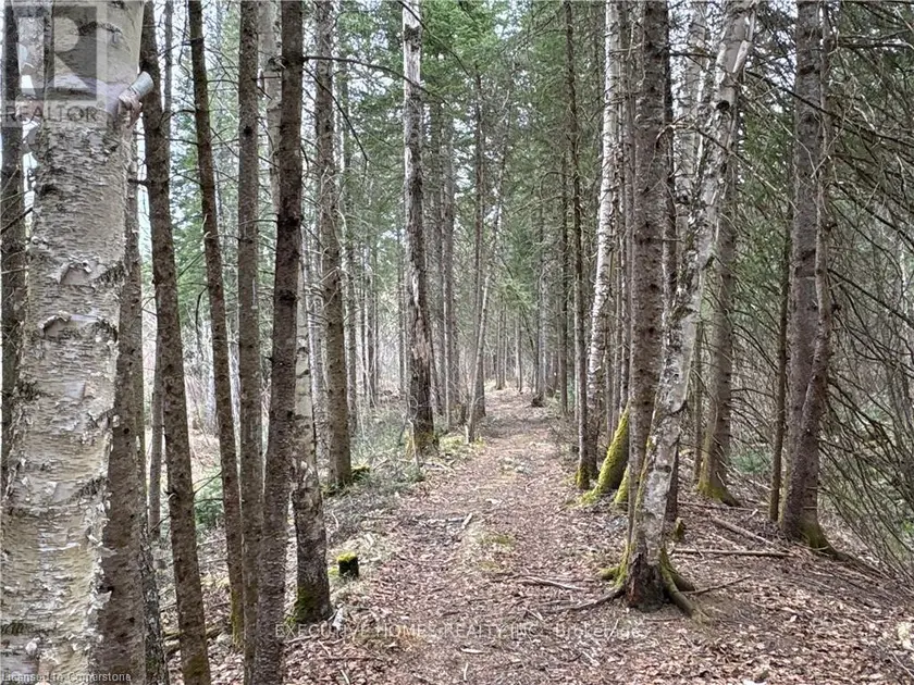 Vacant Land at 1014 BULRUSH TRAIL, Highlands East