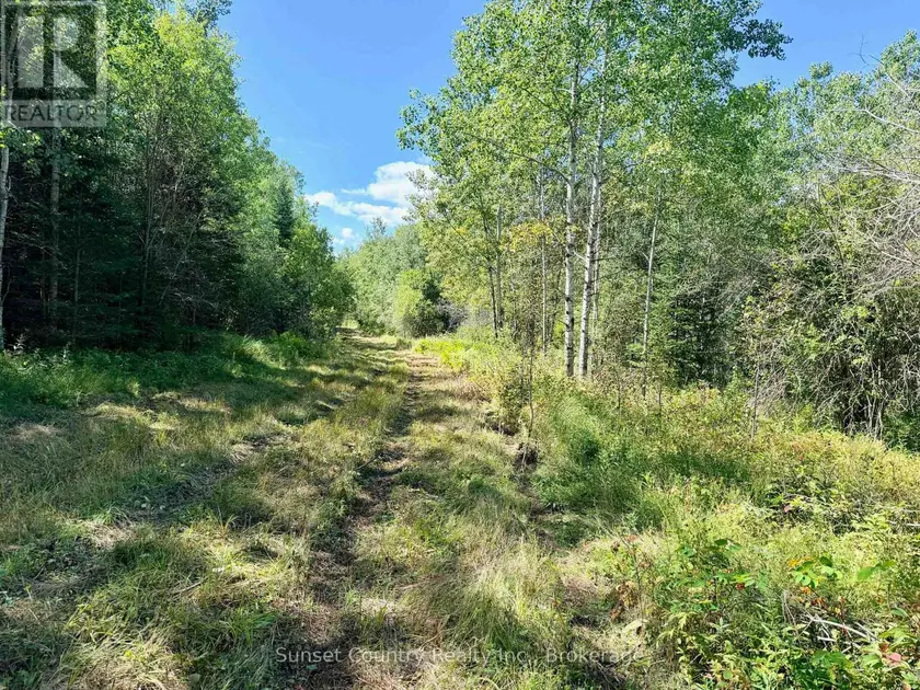 Vacant Land at 0 WALL STREET W, Kenora Remote Area
