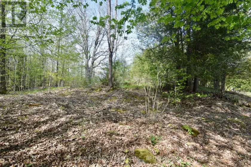 Vacant Land at LOT 3 BALLANTRA DRIVE, Stone Mills