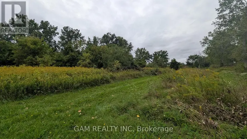 Vacant Land at V/L COUNTY ROAD 46 ROAD, Lakeshore