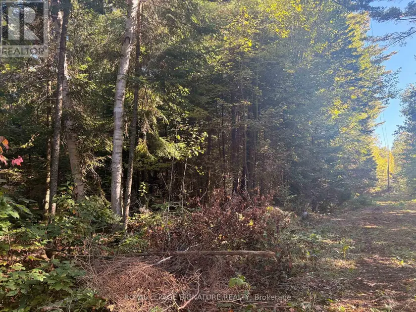 Vacant Land at 63 BUNNY TRAIL, McDougall