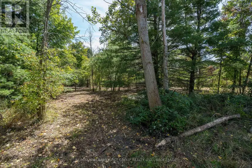 Vacant Land at 00 PALACE ROAD, Greater Napanee