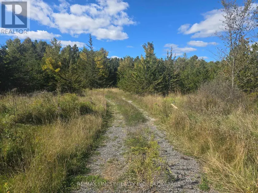 Vacant Land at PT LT 23 & 24 HUNT ROAD, Stone Mills