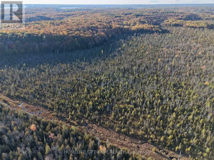 Vacant Land at PCL 7717 & PCL 17235 LT 22 CON 3 & LT 21 CON 3, Muskoka Lakes