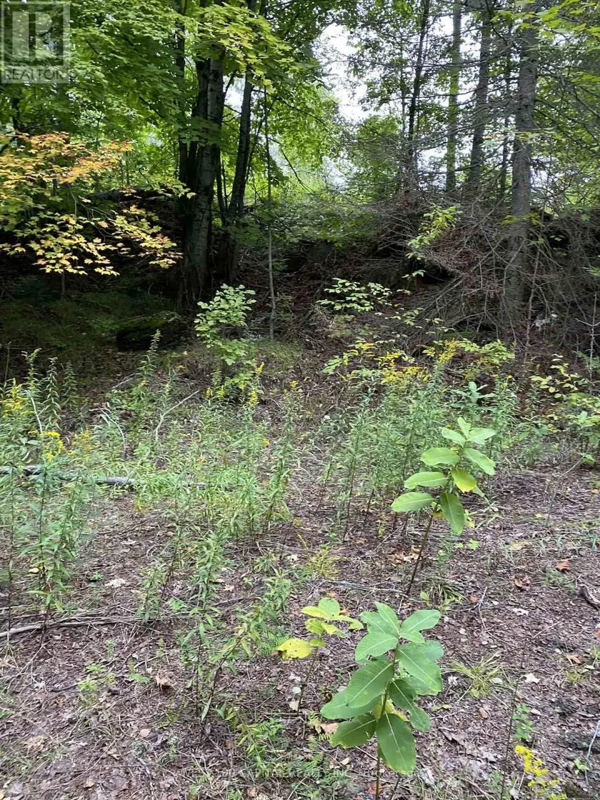 Vacant Land at 6055 HWY 620, Wollaston