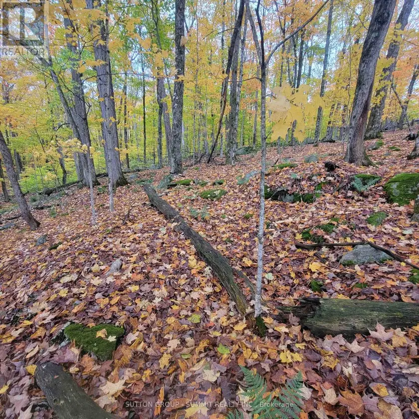 Vacant Land at 255 WESTPOINT SANDS ROAD, Huntsville