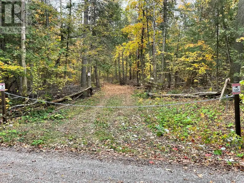 Vacant Land at 0 LITTLE SILVER LAKE ROAD, Trent Lakes